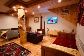 Ski Ethnic Grand Room -Tara Place